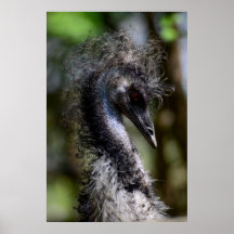 Imprimer, Papier d'affiche de valeur (Matte)