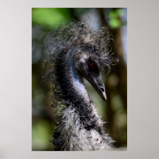 Poster Imprimer, Papier d'affiche de valeur (Matte)