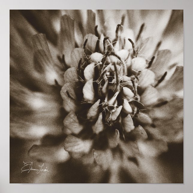 Poster Imprimer, Papier d'affiche de valeur (Matte) (Devant)