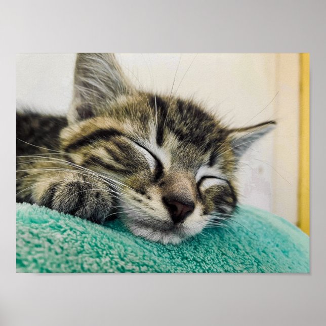 Poster Imprimer, Papier d'affiche de valeur (Matte) (Devant)