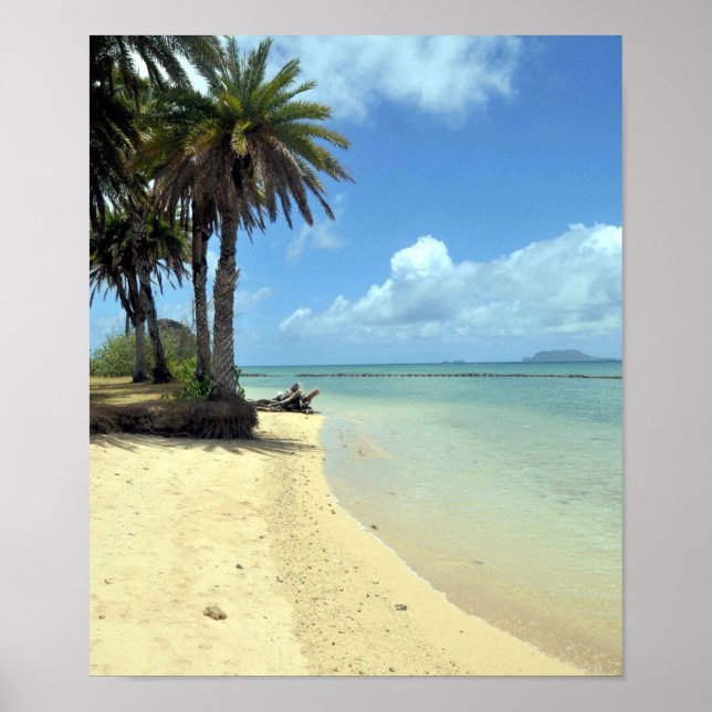 Poster Imprimer Paradis hawaïen (Devant)