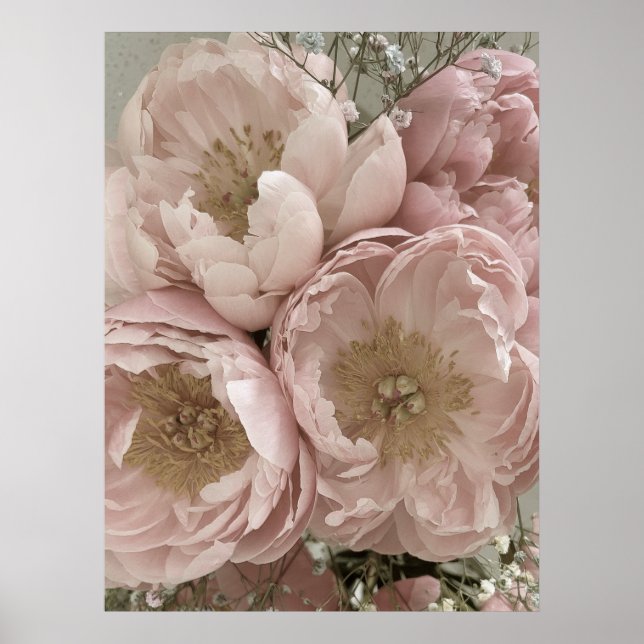 Poster IMPRIMER | Peonies II - 24po x 32po (Devant)