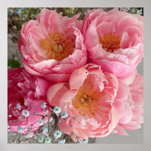 Poster IMPRIMER | Peonies II (30 po x 30 po) (Devant)