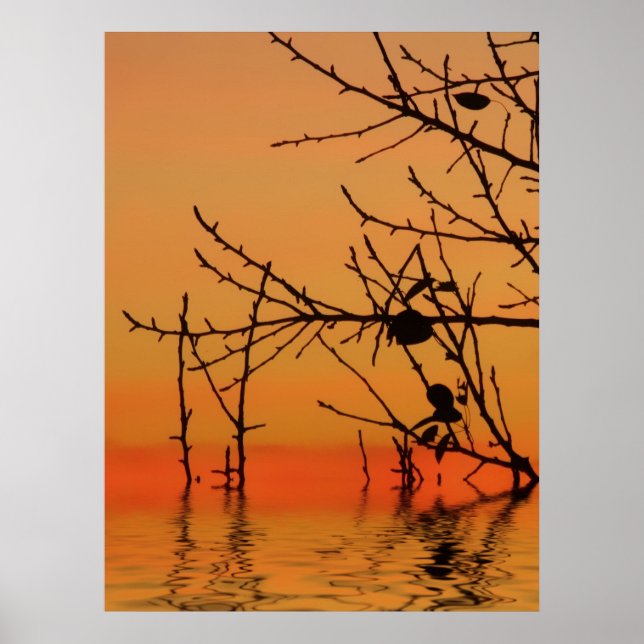 Poster Imprimer Photographie Skyscape (Devant)