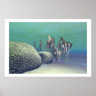 POSTER IMPRIMER POISSON ANGEL
