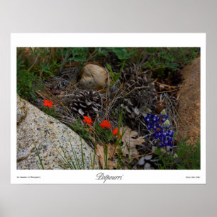 Poster Imprimer Potpourri