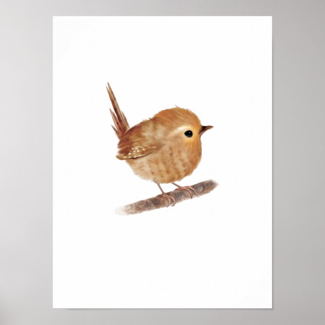 Poster Imprimer Puffy Wren Bird (Devant)