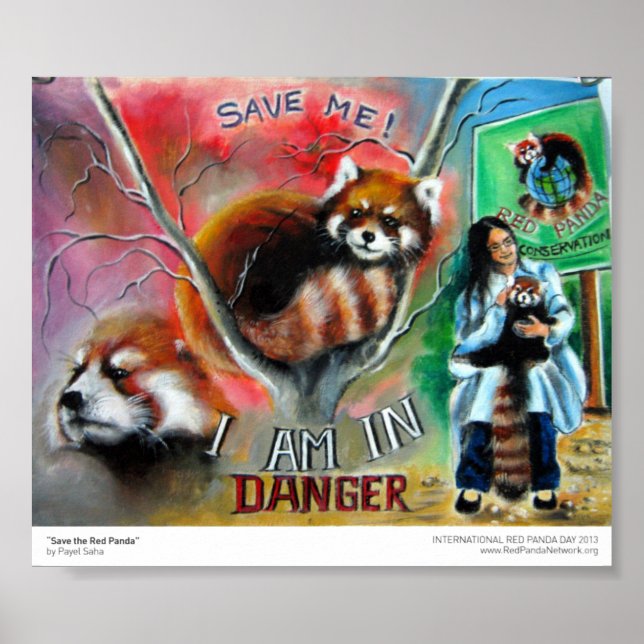 Poster Imprimer "Save the Red Panda" (Devant)