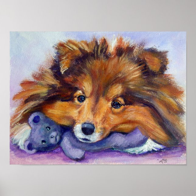 Poster Imprimer Shetland Sheepdog (Devant)