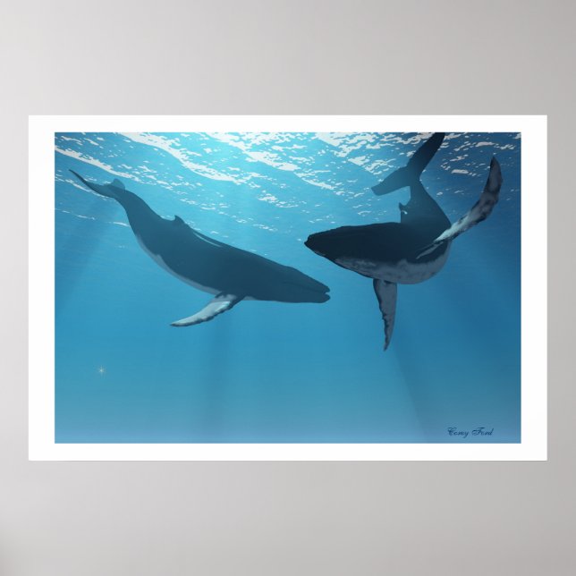 POSTER IMPRIMER WHALE WONDRES (Devant)