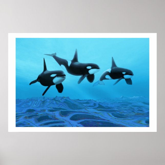 POSTER IMPRIMER WHALE WORLD (Devant)
