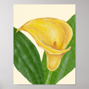 Poster Imprimerie d'art Calla Lily
