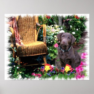 Poster Imprimerie d'art Labrador Retriever