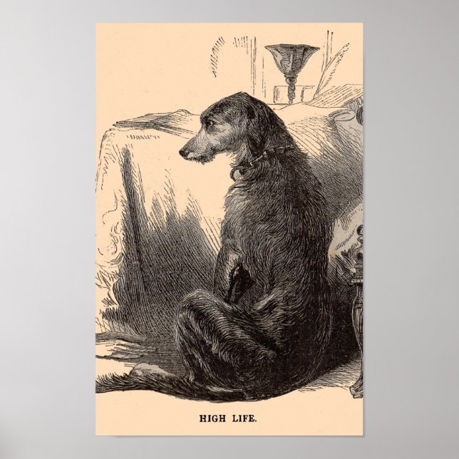Poster Imprimerie de chien du 19e siècle High Life (Devant)