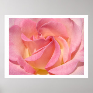 Poster Imprimés d'art floral en spirale de rose fleur ros