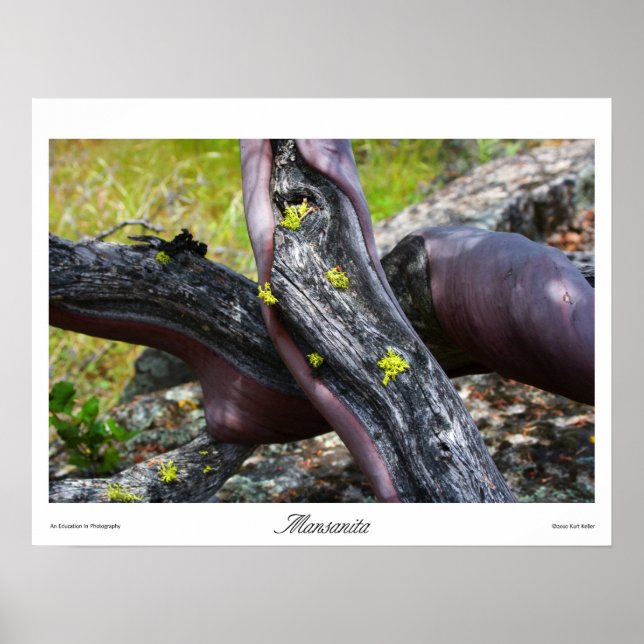 Poster Imprimés Mansanita (Devant)