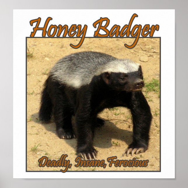 Poster Imprimez Deadel, Insane, Ferocious Honey Badger (Devant)
