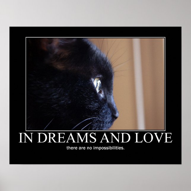 Poster In Dreams and Love Cat Inspiration (Devant)