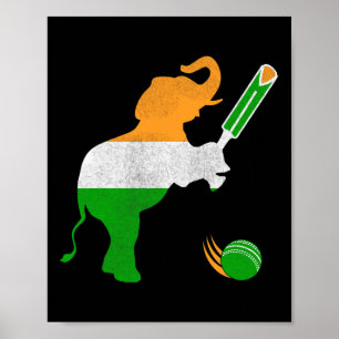 Poster Inde Cricket 1