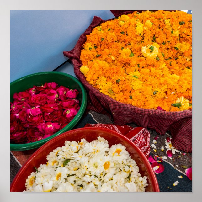 Poster Inde, Rajasthan, Pipar (Devant)