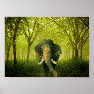 Poster Indian Elephant Superbe Grosse Forêt Verte De Mamm