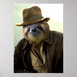 Poster Indiana Sloth