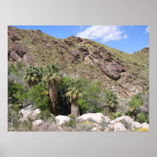 Poster IndianCanyon (8)