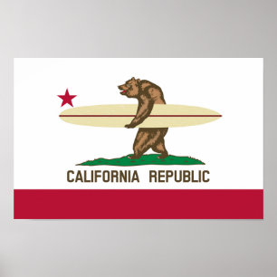 Poster Indicateur California Surfer Bear