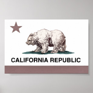 Poster Indicateur Californie2