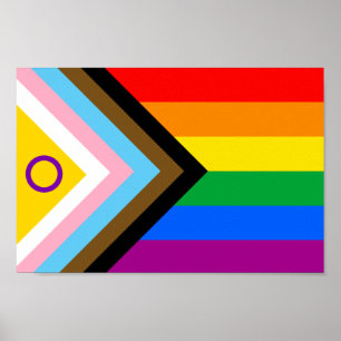 Poster Indicateur de la fierté de progrès intersexe inclu