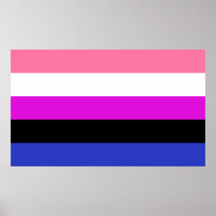 Poster Indicateur de la fierté du fluide genderfluide