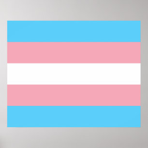 Poster Indicateur de la fierté transgenre