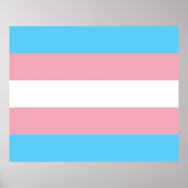 Poster Indicateur de la fierté transgenre (Devant)