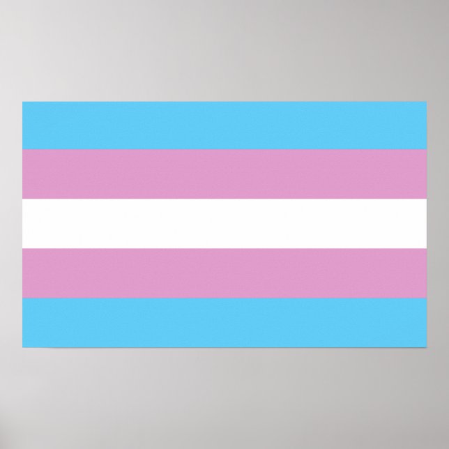 Poster Indicateur de la tarification trans (Devant)
