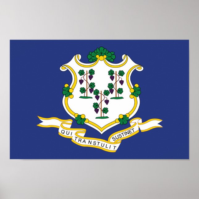 Poster Indicateur d'état Connecticut (Devant)