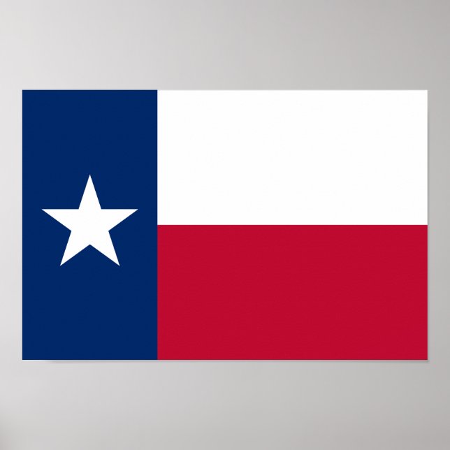 Poster Indicateur d'état du Texas (Devant)
