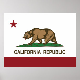 Poster Indicateur Ours de la République de Californie