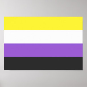 Poster Indicateur Pride non binaire