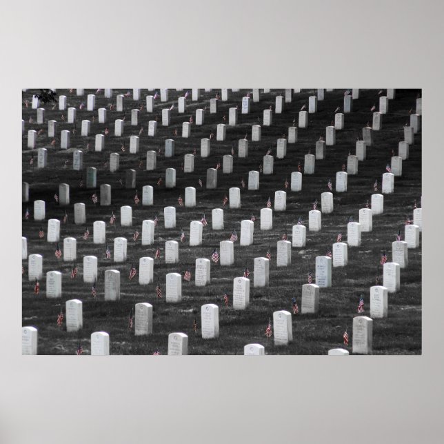 Poster Indicateurs de couleurs Arlington B&W (Devant)