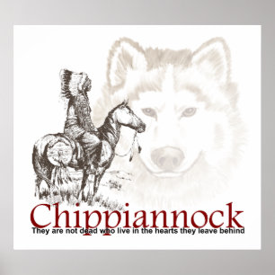 Poster indien américain Ils ne sont pas morts