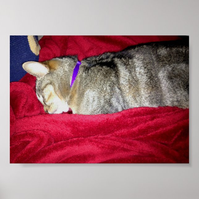 Poster Indigo abandonné (Devant)