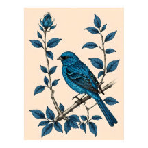 Indigo Bunting Bliss - Une chanson de couleurs