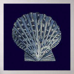 Poster Indigo Shells VIII