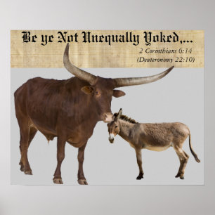 Poster Inégalément Yoked. V