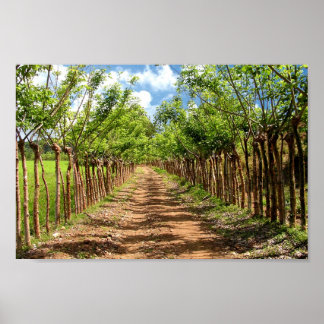 Poster Infinité et au-delà