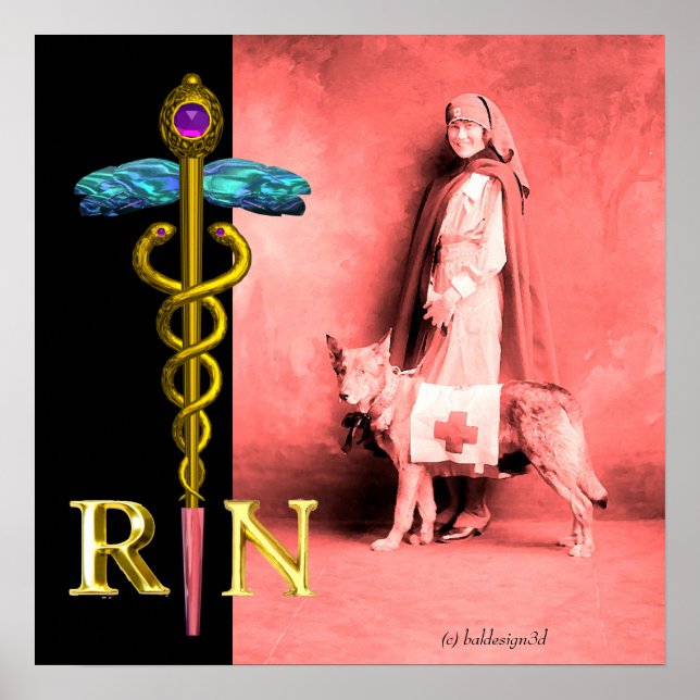 Poster INFIRMER ET SECOURIR DOG /Gold Caduceus RN Emblem (Devant)