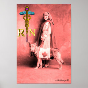 Poster INFIRMIÈRE ET CHIEN DE SAUVETAGE /Emblème RN Caduc
