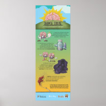 Infographie de l'essai Dawn