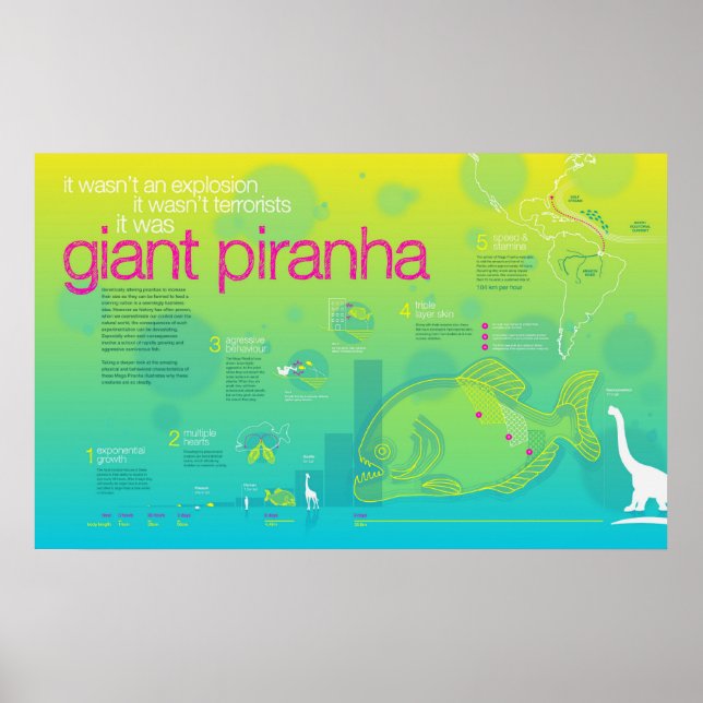 Poster Infographie : Piranha géant (Devant)