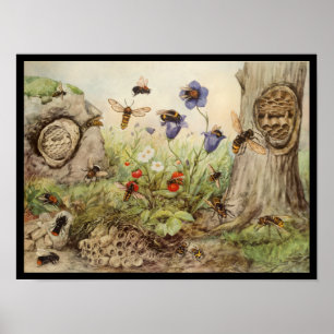 Poster Insectes des abeilles Vintage Imprimer